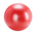 gymnic-body-ball-pilka-do-cwiczen-1.jpg