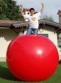 PILKA-OLBRZYMIA-MEGABALL-GYMNIC.webp